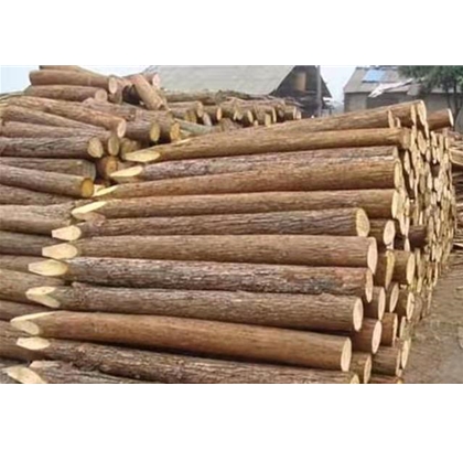 上海打桩木批发出售 松木桩出售  杉木桩批发 工程打木桩